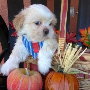 Meet your Posher, Keren